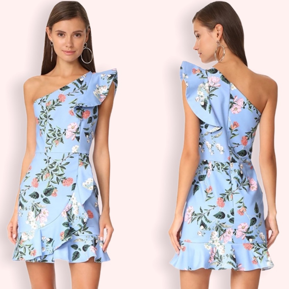 SALE❗️Parker Layla Dress in Daphne One shoulder